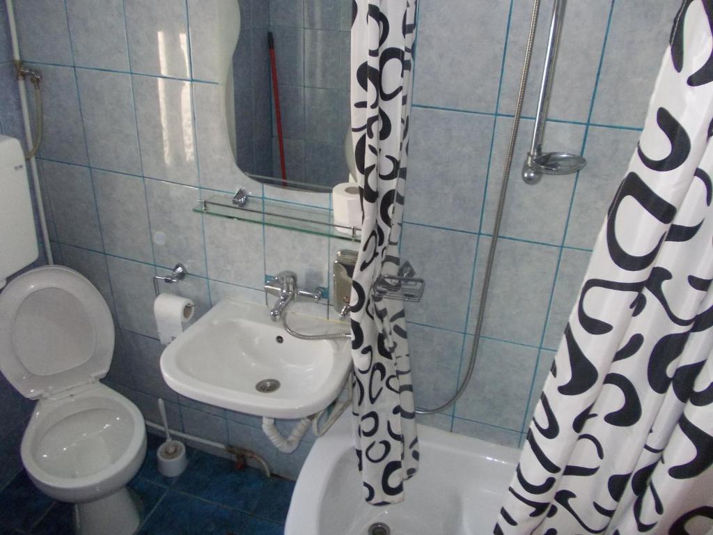 Pensiunea Adina Cavnic Ruang foto