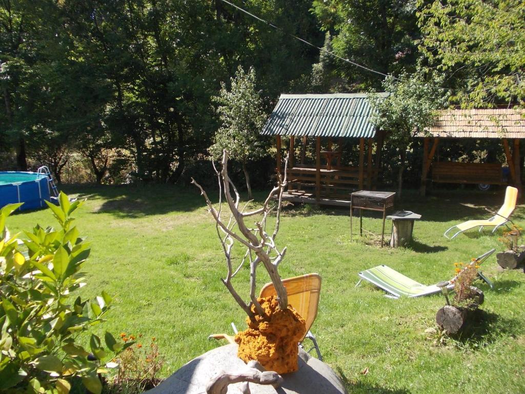 Pensiunea Adina Cavnic Bagian luar foto