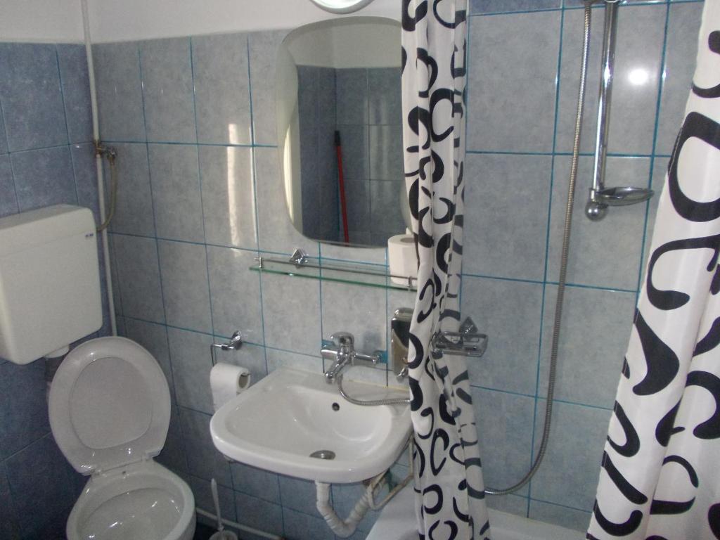 Pensiunea Adina Cavnic Ruang foto